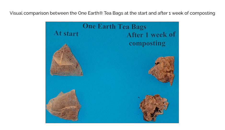 Visual comparison between One Earth® biodegradable and compostable tea bags start of composting and after 1 week